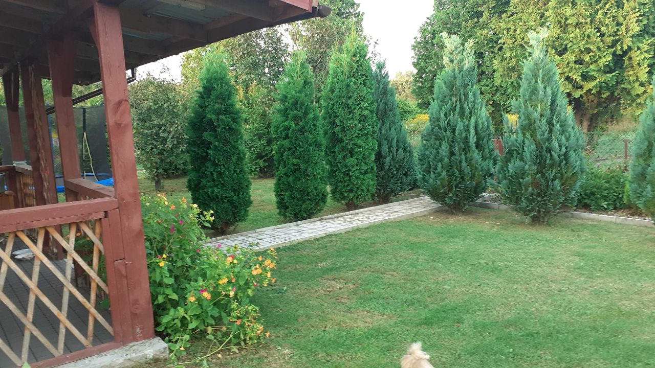 Działka rod Żychlin