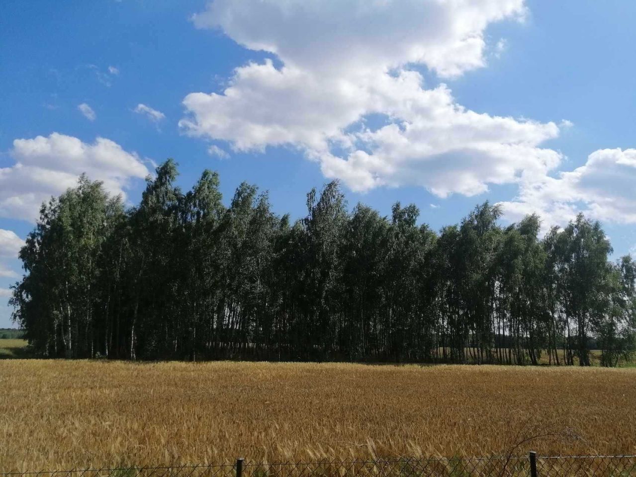 gospodarstwo Kamienowola. Zdjęcie 8