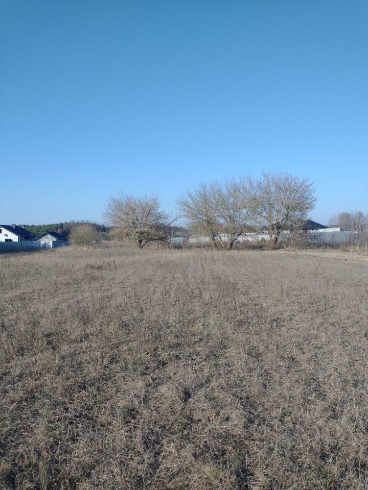 Działka siedliskowa Dziadowice-Folwark