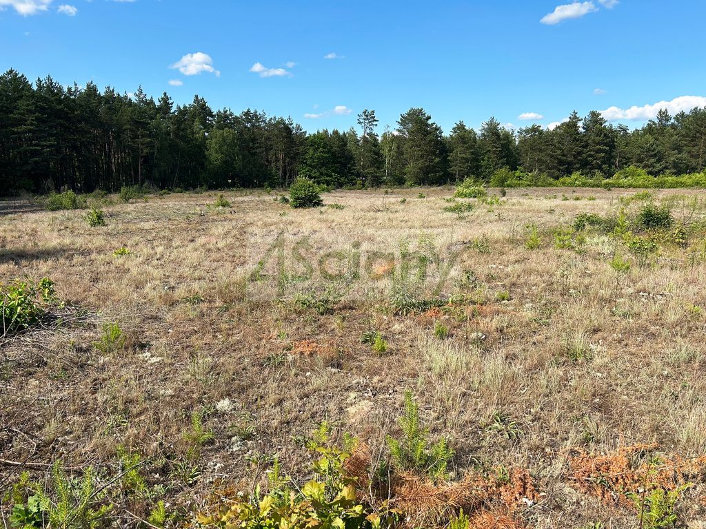 Działka budowlana Popielżyn-Zawady. Zdjęcie 4