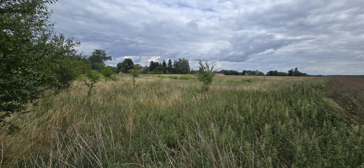 Działka rolna Krzymów. Zdjęcie 6