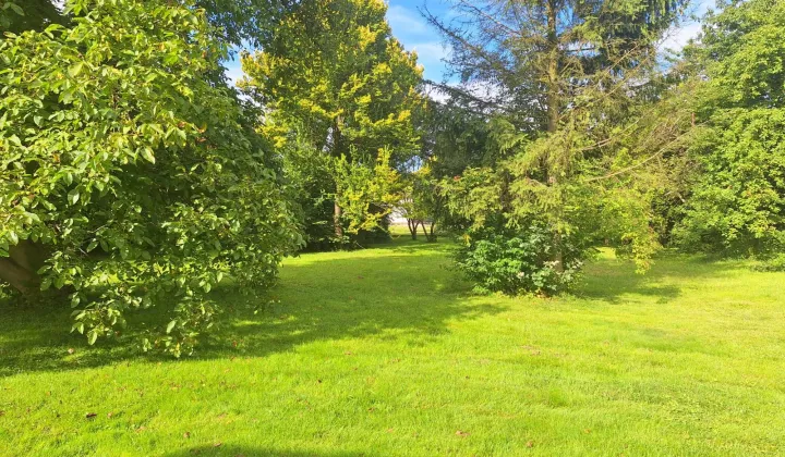 Działka budowlana Babice