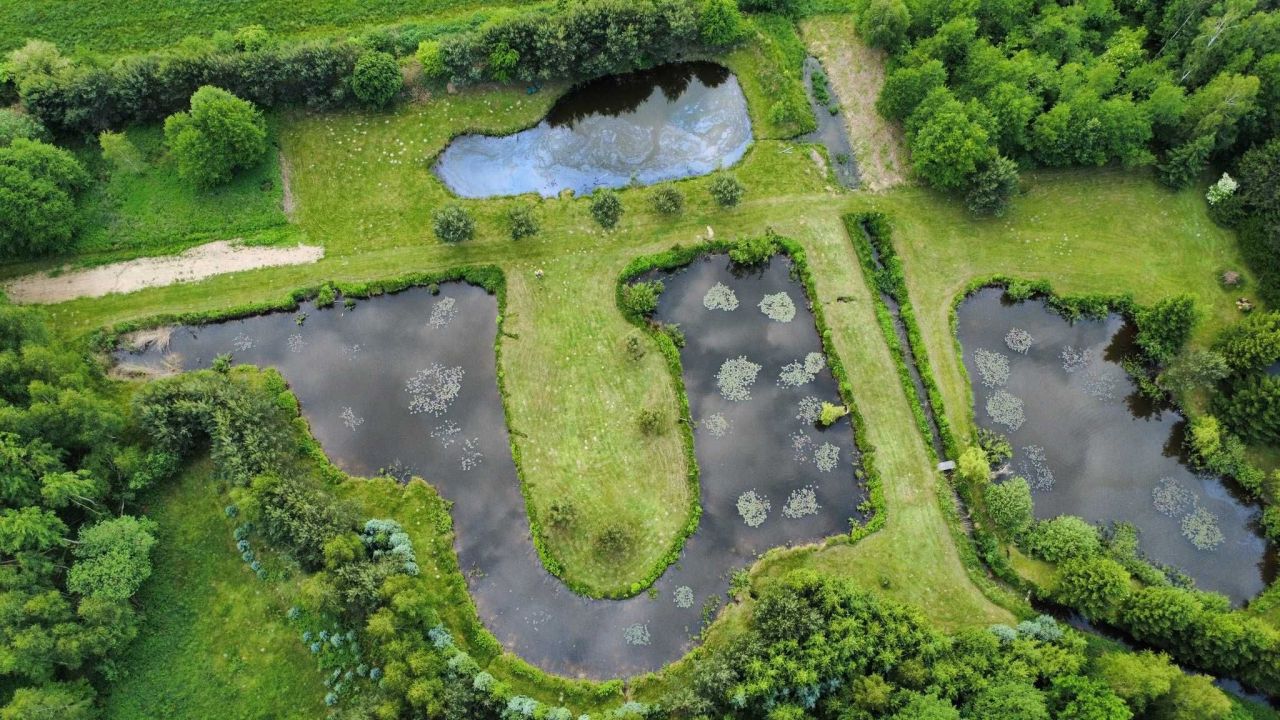 Działka rolno-budowlana Dłużew. Zdjęcie 3