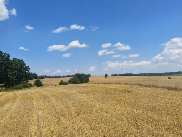 Działka budowlana Oleszna Podgórska. Zdjęcie 1
