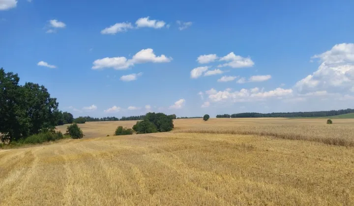 Działka budowlana Oleszna Podgórska