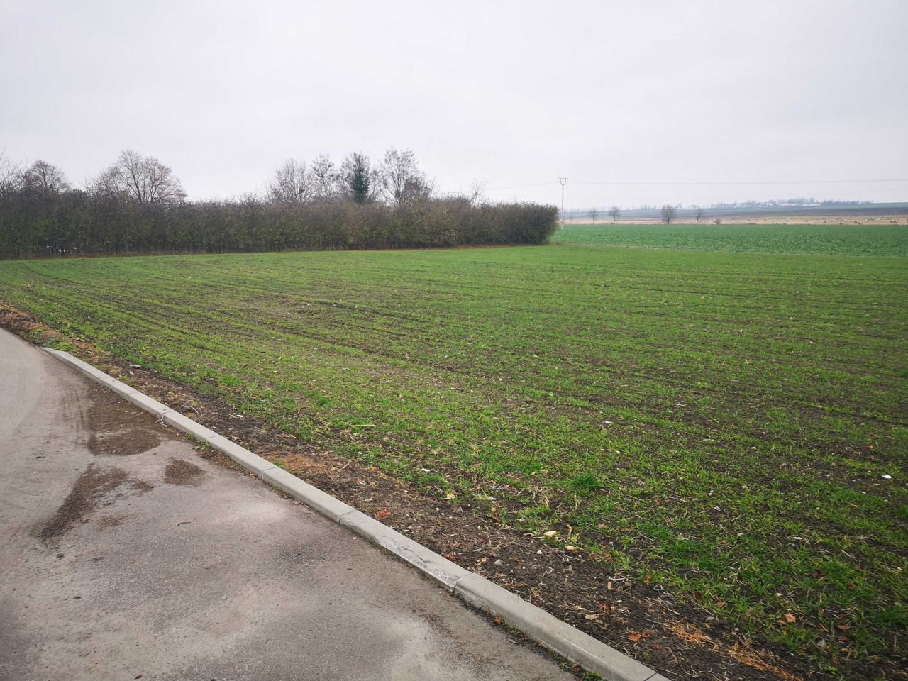 Działka budowlana Machnów Nowy. Zdjęcie 4