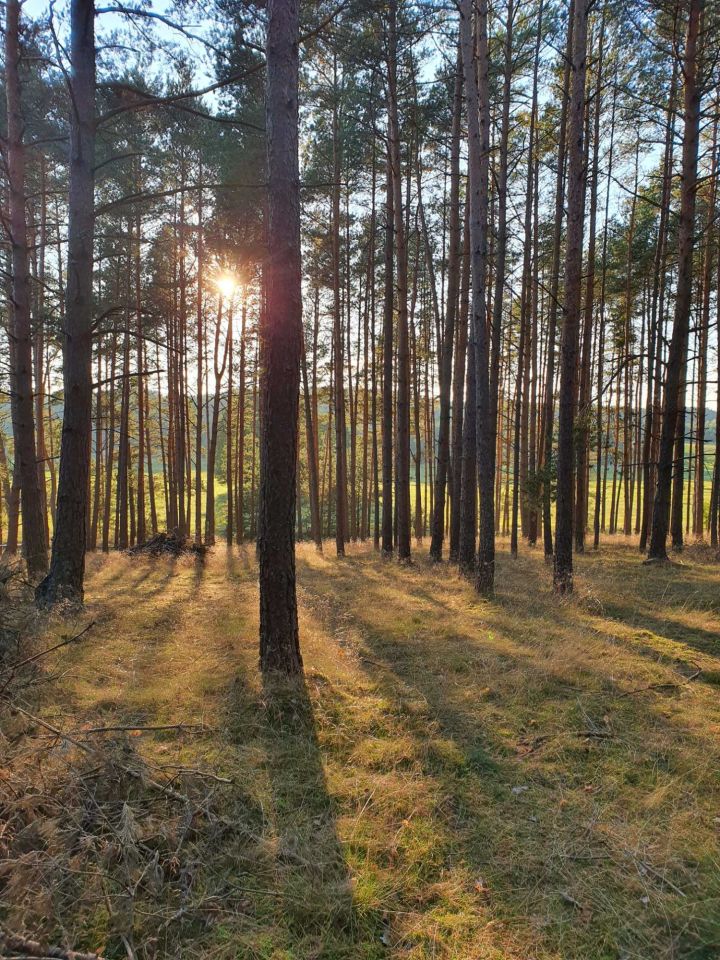 Działka Swornegacie