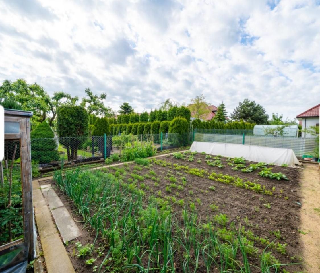 dom wolnostojący, 5 pokoi Niekanin, ul. Porankowa. Zdjęcie 7