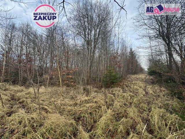 Działka inwestycyjna Gdańsk Kokoszki, ul. Grzybowa. Zdjęcie 3