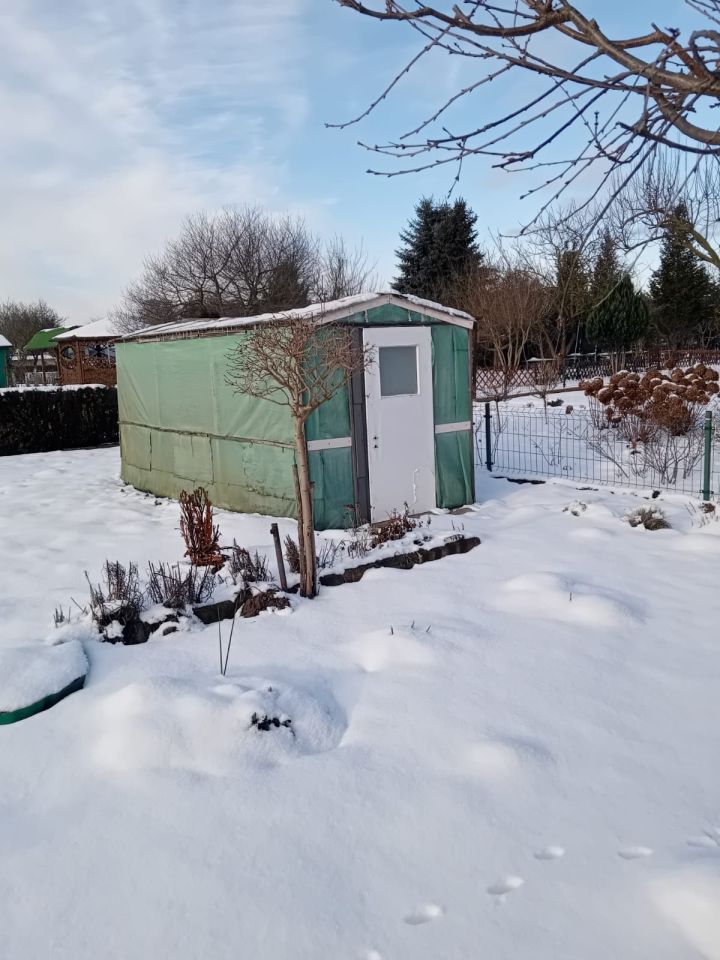 Działka rod Czerwieńsk. Zdjęcie 2