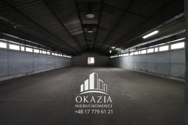 Hala/magazyn Wysoka Głogowska. Zdjęcie 15