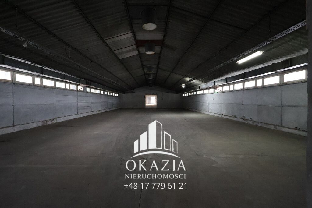 Hala/magazyn Wysoka Głogowska. Zdjęcie 15