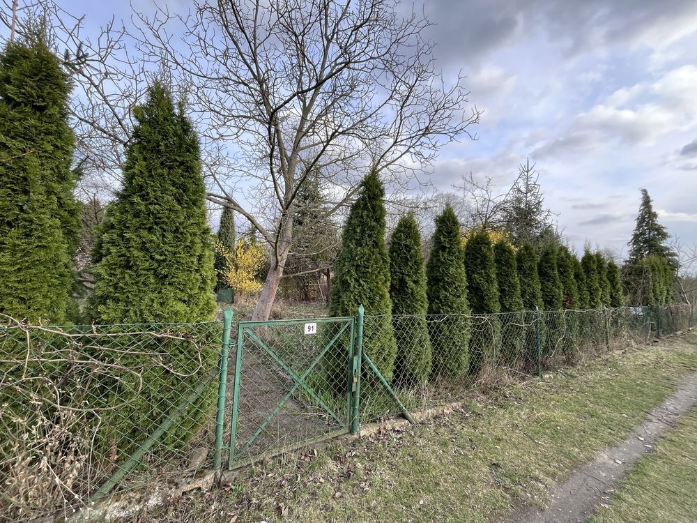 Działka rod Wrocław Krzyki, ul. Działkowa. Zdjęcie 2