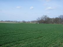 Działka inwestycyjna Browina. Zdjęcie 3