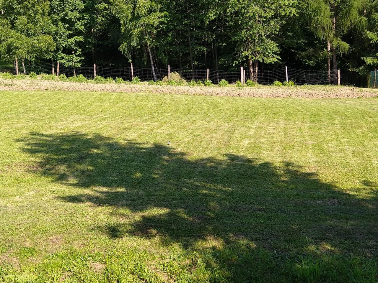 Działka budowlana Humniska Wygon. Zdjęcie 2