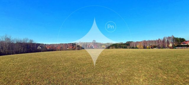 Działka rolna Marcinkowo. Zdjęcie 2