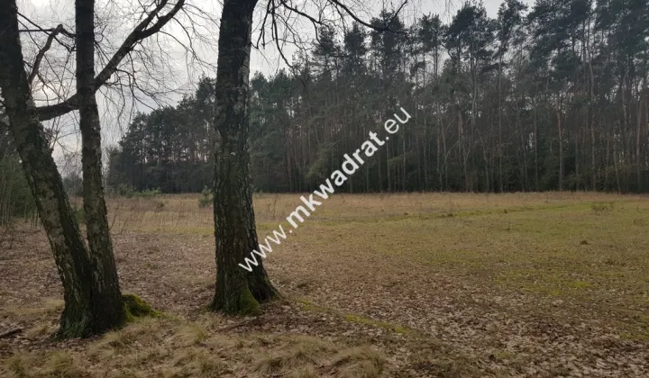 Działka budowlana Kaleń