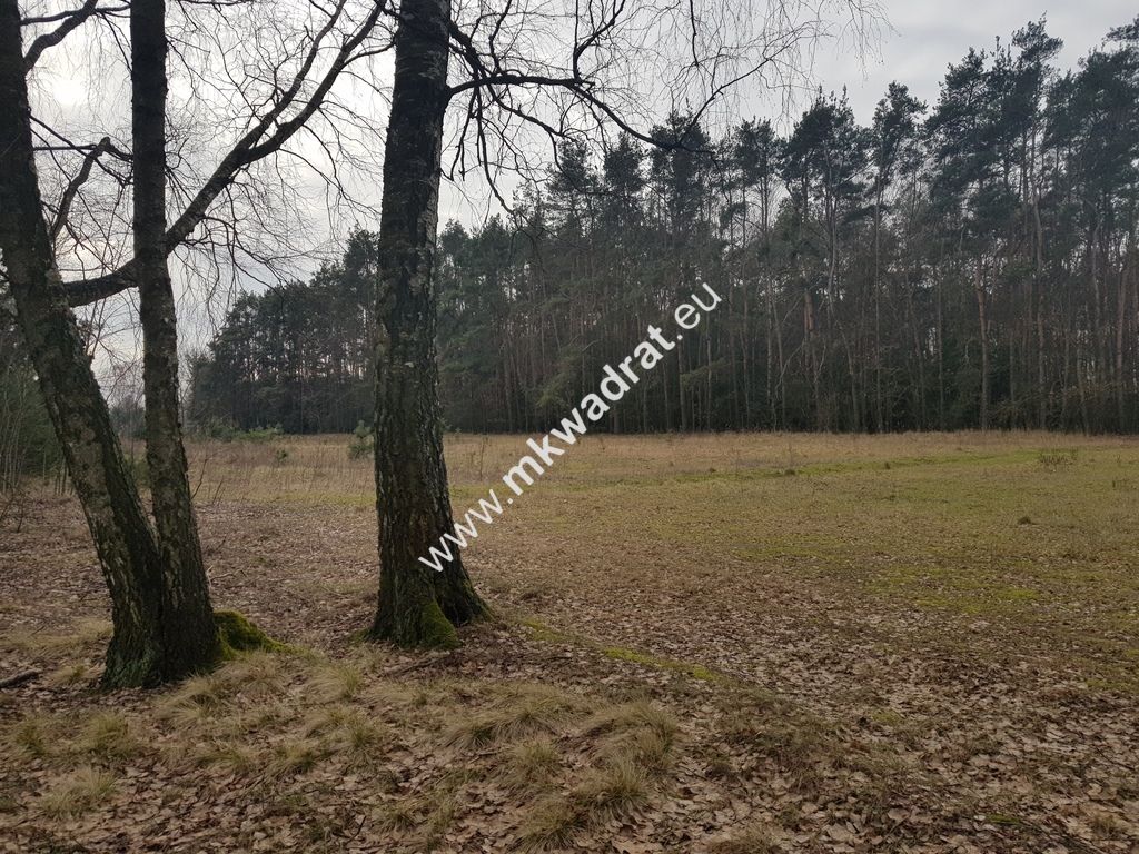 Działka budowlana Kaleń. Zdjęcie 1