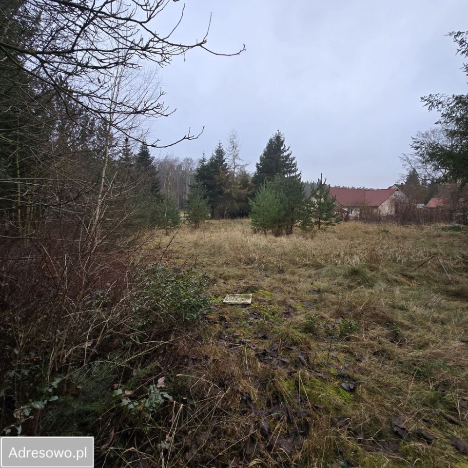 Działka Bolechowo. Zdjęcie 18