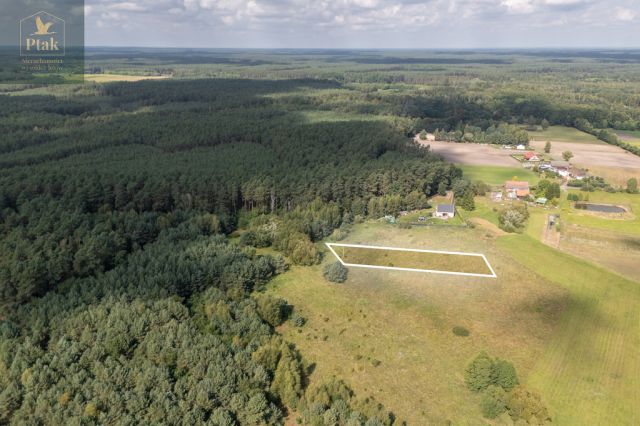 Działka rolna Obrzycko. Zdjęcie 3