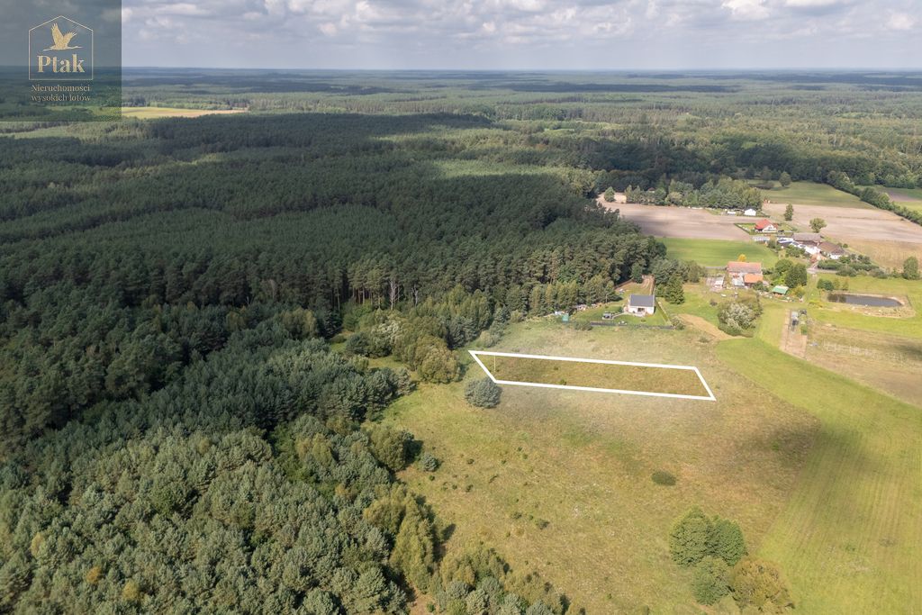 Działka rolna Obrzycko. Zdjęcie 3