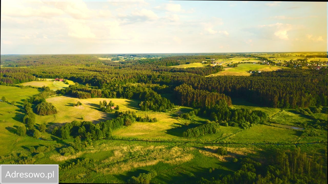 Działka rolno-budowlana Zaborowo. Zdjęcie 13