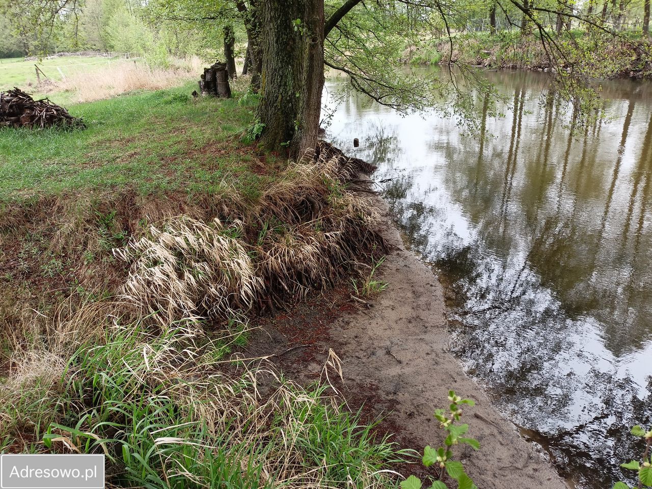 Działka rolna Popiołki. Zdjęcie 18