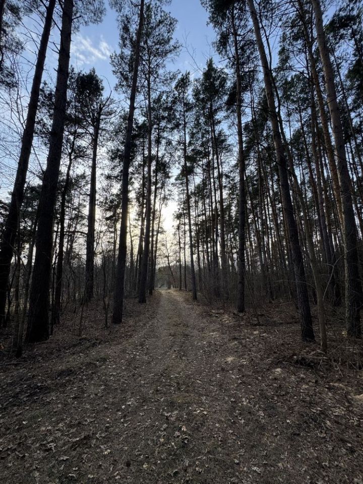 Działka leśna Nadkole. Zdjęcie 3