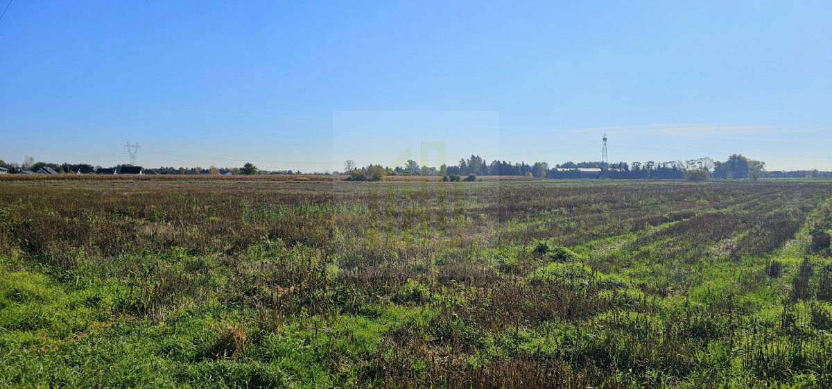 Działka budowlana Bieniewice, ul. Słowicza. Zdjęcie 5