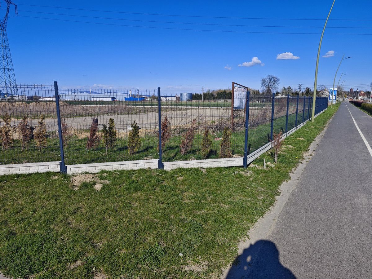 Działka budowlana Pieszyce, ul. Tadeusza Kościuszki. Zdjęcie 9