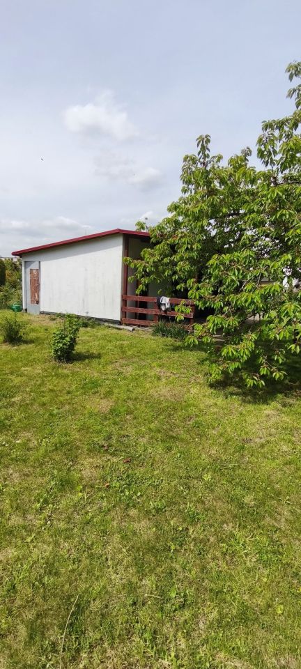 Działka rod Gorzów Wielkopolski, ul. Siewna. Zdjęcie 6
