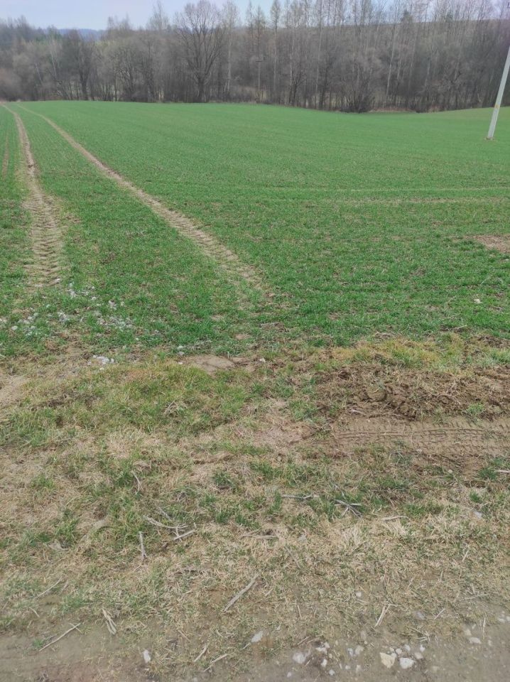 Działka inwestycyjna Bistuszowa. Zdjęcie 6