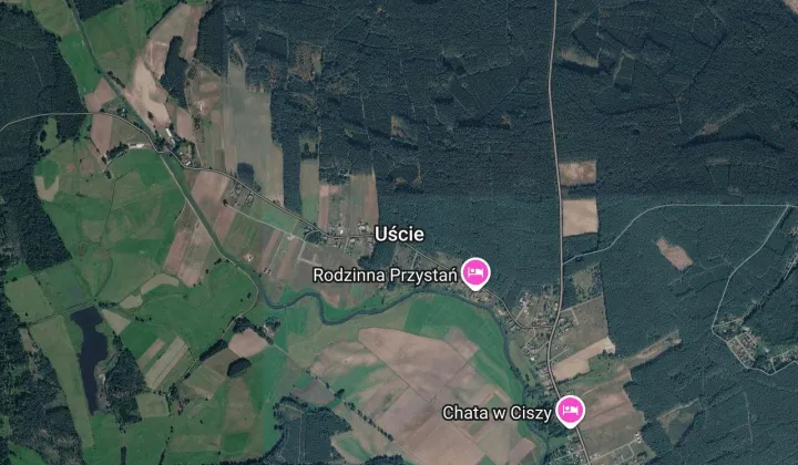 Działka leśna Uście