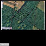 Działka leśna Klonownica-Plac. Zdjęcie 1