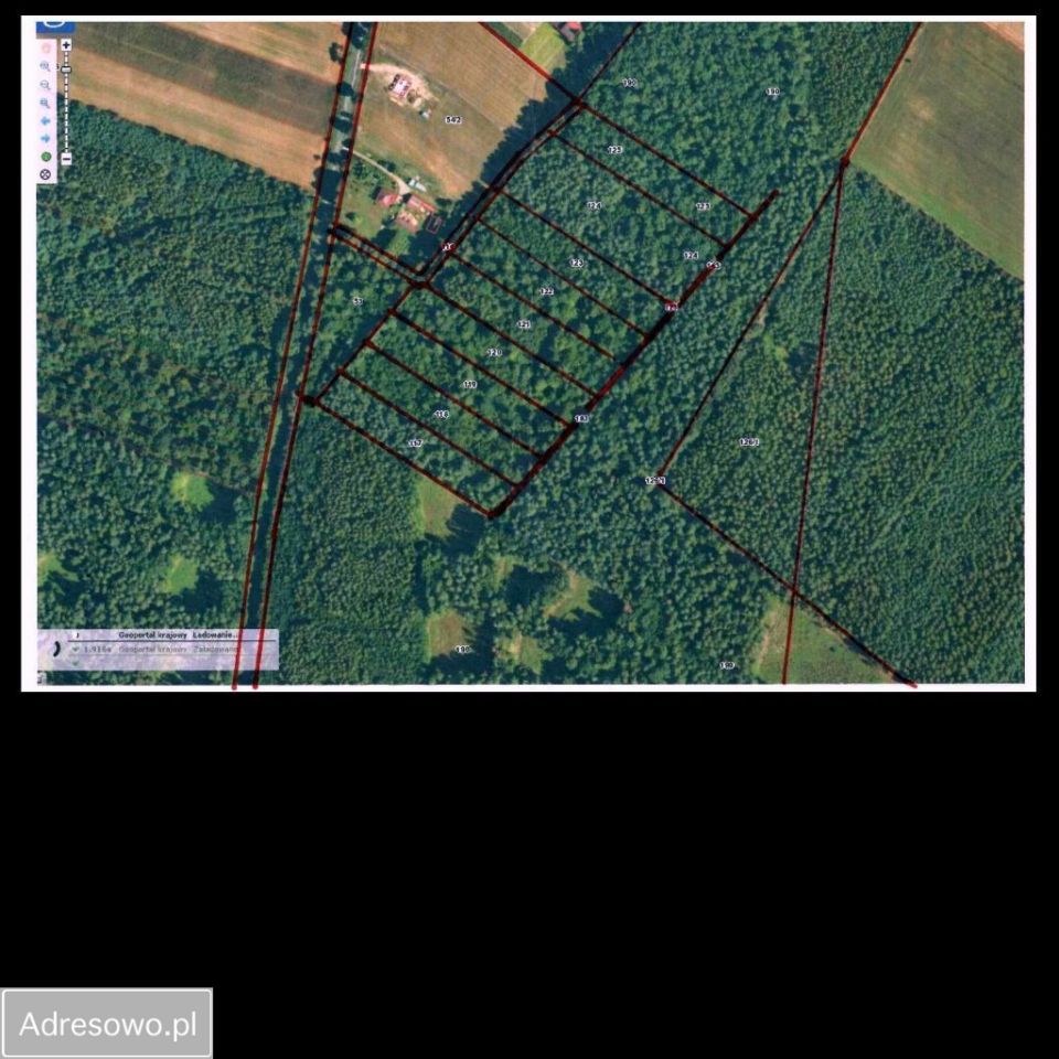 Działka leśna Klonownica-Plac. Zdjęcie 2