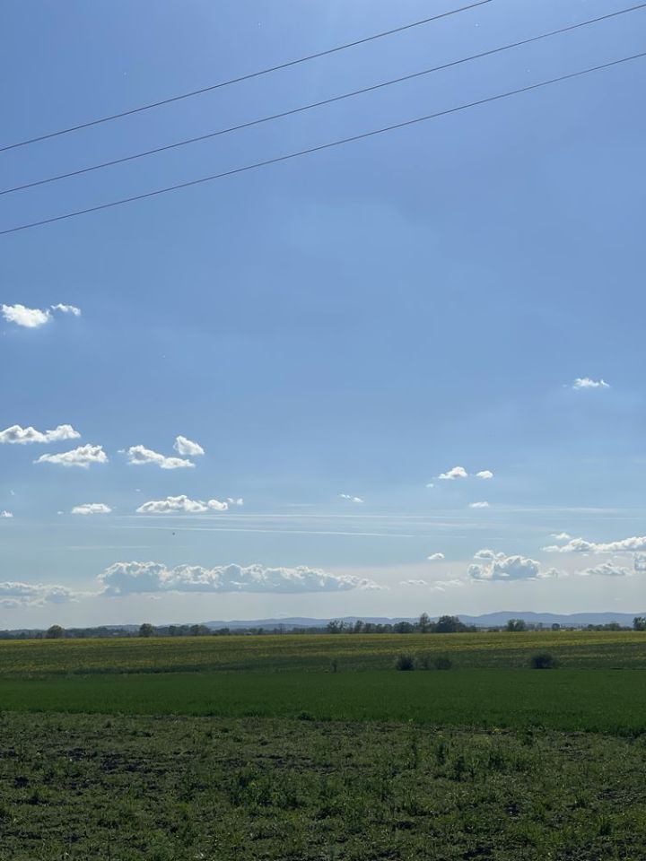 Działka budowlana Wiązów. Zdjęcie 2