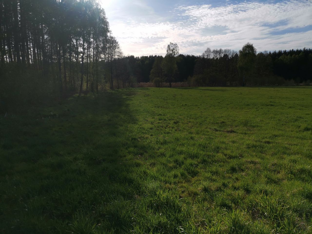 Działka budowlana Bujny Księże. Zdjęcie 11