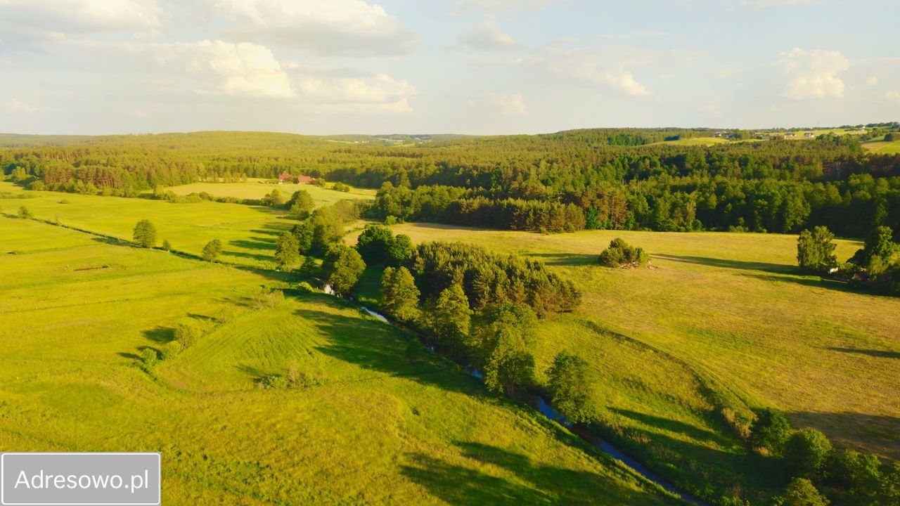 Działka rolno-budowlana Zaborowo. Zdjęcie 4