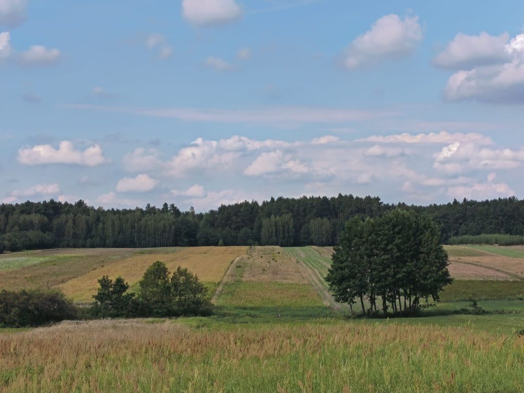 Działka rolno-budowlana Szadkowice. Zdjęcie 5