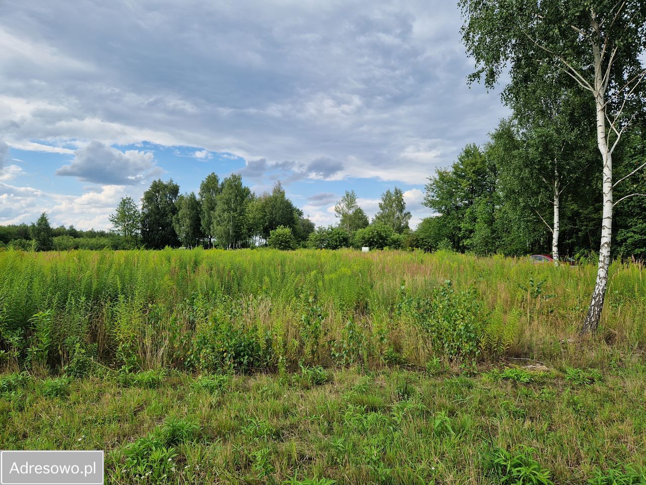 Działka budowlana Łódź Widzew, ul. Nad Niemnem. Zdjęcie 6
