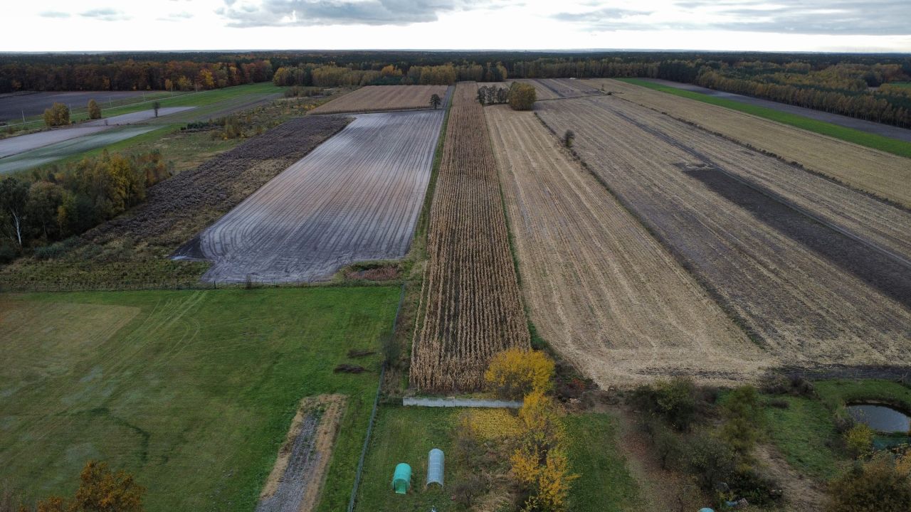 gospodarstwo, 4 pokoje Annopole Nowe. Zdjęcie 6