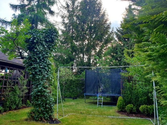 Działka rod Skierniewice, ul. Działkowa. Zdjęcie 1