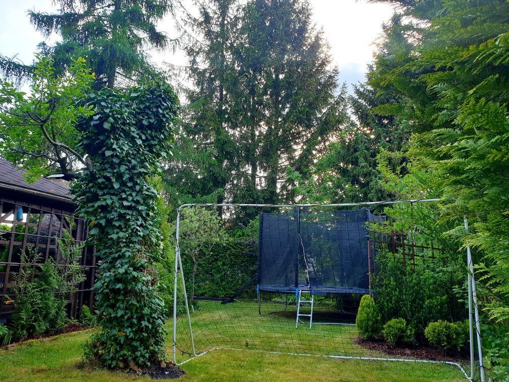 Działka rod Skierniewice, ul. Działkowa. Zdjęcie 1