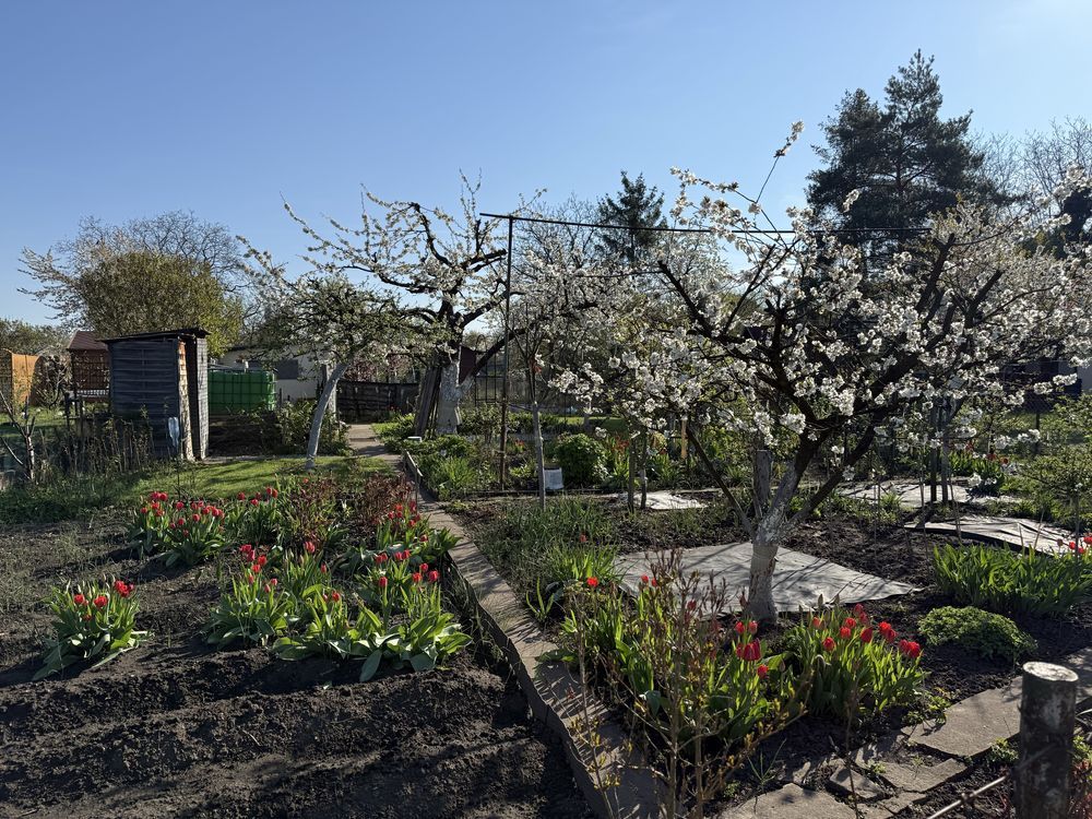 Działka rod Wrocław Stare Miasto. Zdjęcie 6