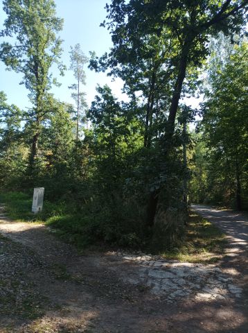 Działka leśna Samsonów-Dudków. Zdjęcie 1