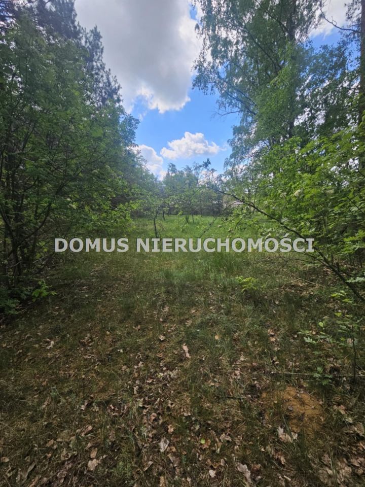 Działka budowlana Brzeziny. Zdjęcie 3