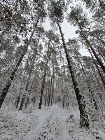 Działka budowlana Czarże. Zdjęcie 8