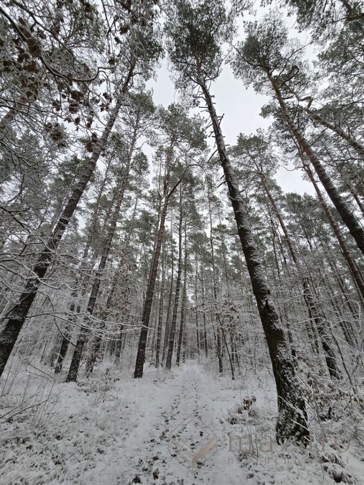 Działka budowlana Czarże. Zdjęcie 8