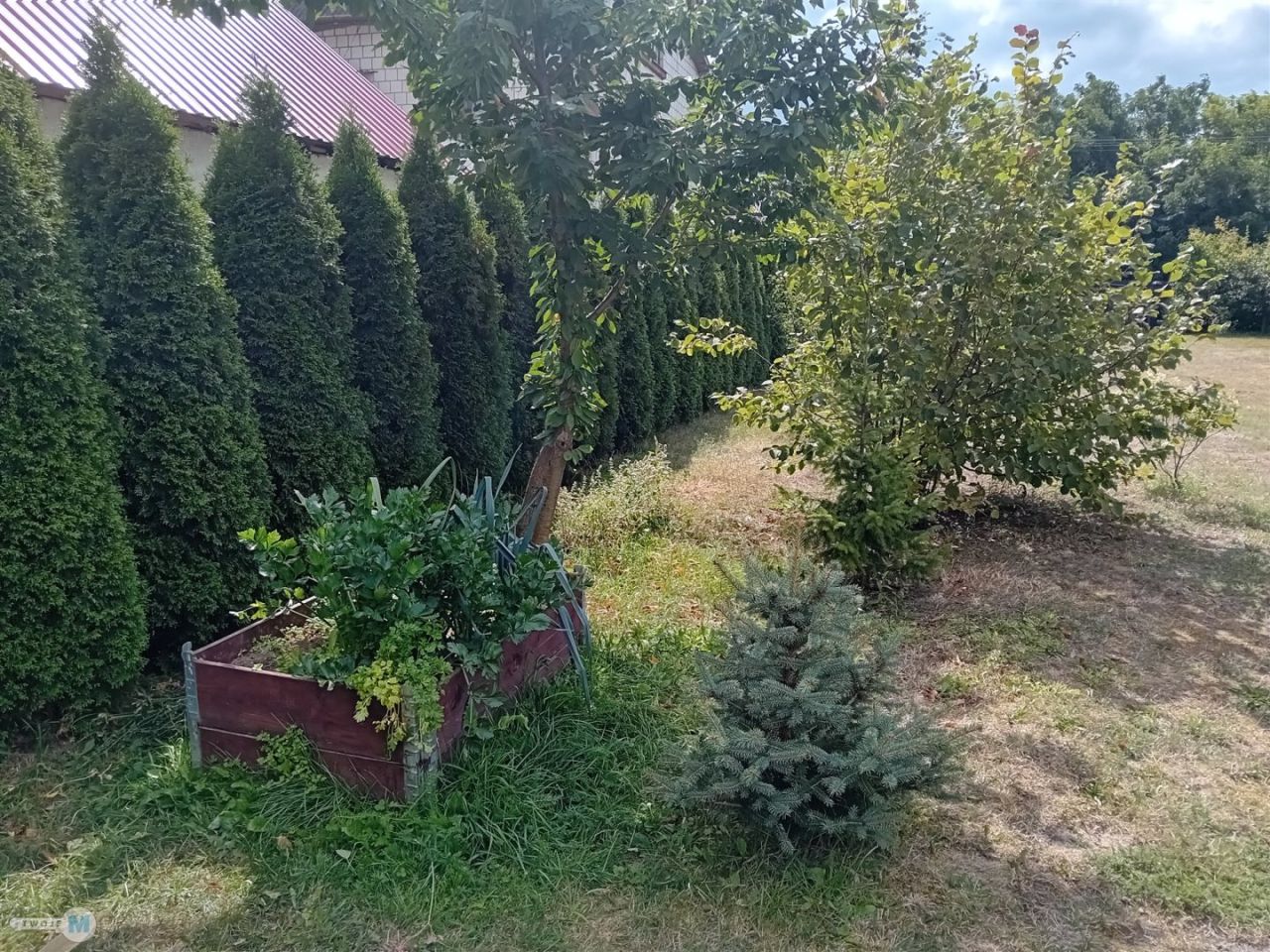 dom wolnostojący, 3 pokoje Klwaty. Zdjęcie 16