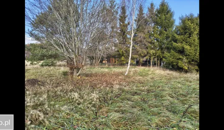 Działka rolna Czapielsk, ul. Skrzypowa